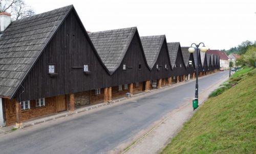 Zdjcie POLSKA / Sudety / Chemsko lskie / Dwunastu Apostow