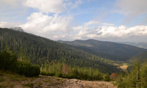 Zdjecie POLSKA / Tatry / Przecz Midzy Kopami / Widok na Dolin Jaworzynki