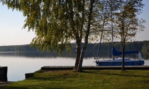 Zdjcie POLSKA / Grny lsk / Tychy - Paprocany / Papry