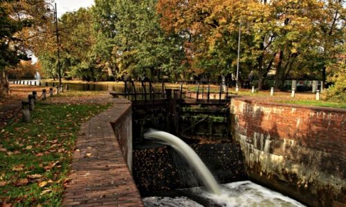 Zdjecie POLSKA / Kujawsko-Pomorski / Bydgoszcz / „Park nad luzami”.