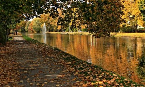 Zdjcie POLSKA / Kujawsko-Pomorski / Bydgoszcz / Jesienne dekoracje