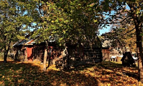 Zdjcie POLSKA / Kujawsko-Pomorski / Kasparus-gmina Osiek /  Budynki  majce okoo dwustu lat