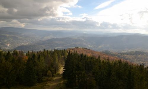 Zdjcie POLSKA / Beskid lski / Czantoria / Beskidzka jesie II