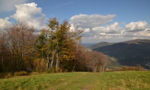 Zdjcie POLSKA / Beskid lski / Czantoria / Beskidzka jesie III