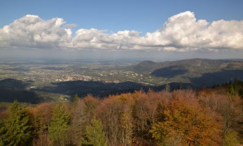 Zdjcie POLSKA / Beskid lski / Czantoria / Beskidzka jesie IV