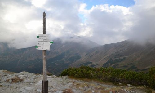 Zdjecie POLSKA / Tatry Zachodnie / Siwa Przecz / Widok z przeczy