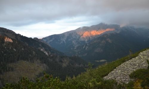 Zdjecie POLSKA / Tatry Zachodnie / Suchy Wierch Ornaczaski / Widok na Wysoki Grzbiet II