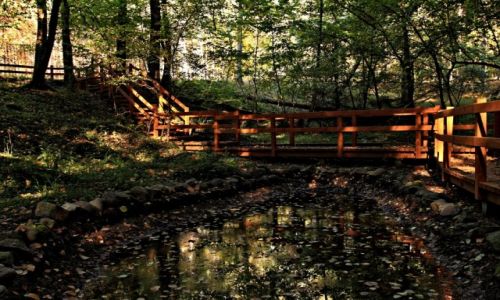 Zdjecie POLSKA / Kujawsko-Pomorski /  Woziwoda / Tucholski Park Krajobrazowy