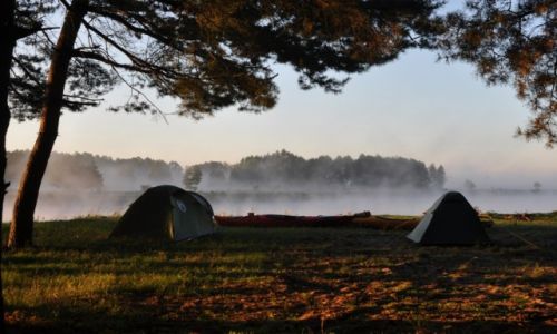 Zdjęcie POLSKA / Nadbużański Park Krajobrazowy / za Drohiczynem / Poranek nad brzegiem