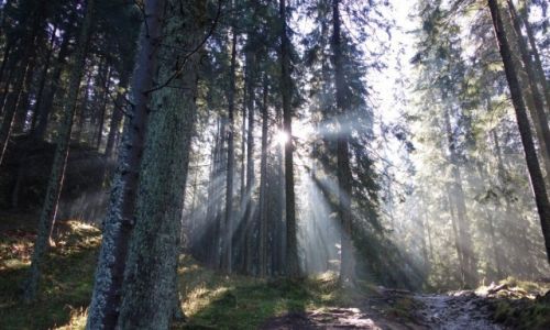 Zdjecie POLSKA / Maopolska / Tatry / Promienie soneczne