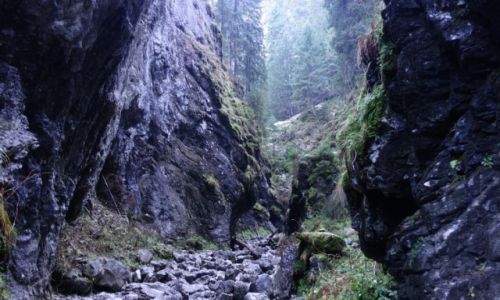 Zdjecie POLSKA / Maopolska / Tatry / Wwz Krakw