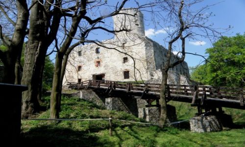 Zdjcie POLSKA / Maopolskie / Babice / Zamek Lipowiec 2