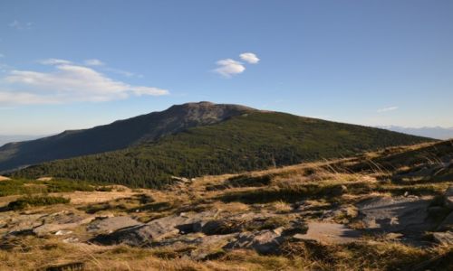 Zdjcie POLSKA / Beskid ywiecki / Cyl 1517 / Widok z Maej Babiej II
