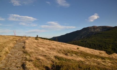 Zdjcie POLSKA / Beskid ywiecki / Cyl 1517 / Widok z Maej Babiej III