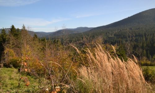 Zdjecie POLSKA / Beskid ywiecki / Soblwka / Pod Rwnym Groniem