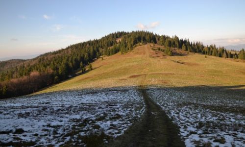 Zdjcie POLSKA / Beskid ywiecki / Hala Rycerzowa / Maa Rycerzowa