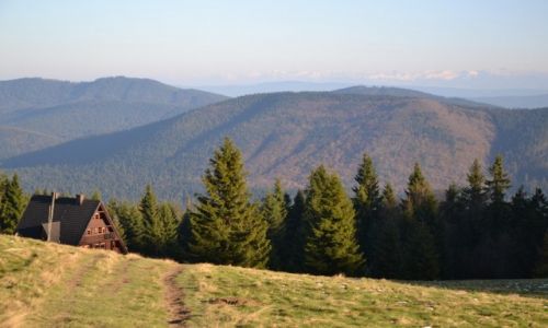 Zdjcie POLSKA / Beskid ywiecki / Hala Rycerzowa / Bacwka