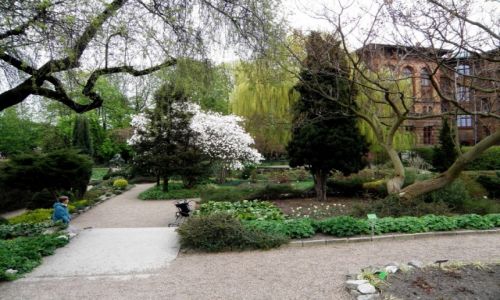 Zdjcie POLSKA / Dolnolskie / Wrocaw / Ogrd Botaniczny