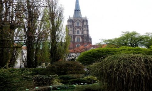 Zdjcie POLSKA / Dolnolskie / Wrocaw / Widok z ogrodu botanicznego 