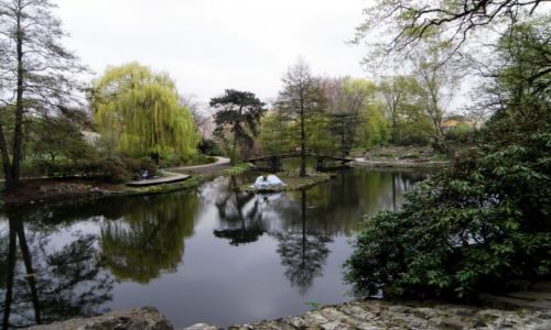 Zdjcie POLSKA / Dolnolskie / Wrocaw / Ogrd Botaniczny