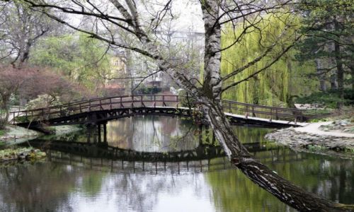 Zdjcie POLSKA / Dolnolskie / Wrocaw / Ogrd Botaniczny 2