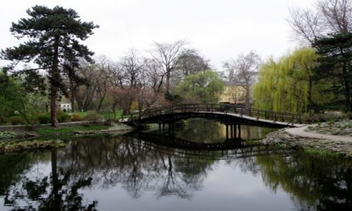 Zdjecie POLSKA / Dolnolskie / Wrocaw / Ogrd Botaniczny 3