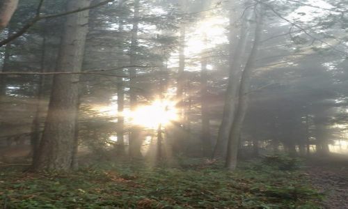 Zdjęcie POLSKA / małopolska / ok wadowic / Zachód słońca