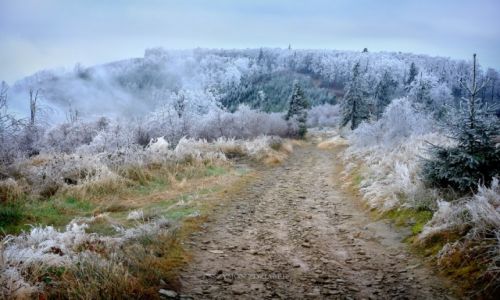 Zdjecie POLSKA / Beskid May / Czupel / Szad i szron
