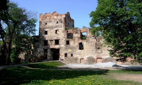 Zdjcie POLSKA / Dolnolskie / Zbkowice lskie / Ruiny Zamku