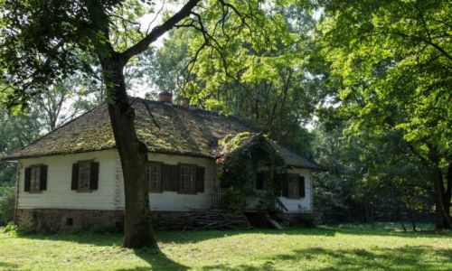Zdjcie POLSKA / Mazowsze / Nowa Suscha / Organistwka z poowy XIX w