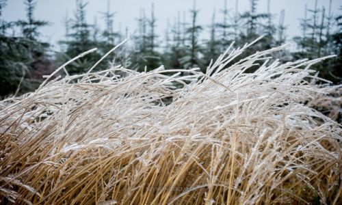 Zdjecie POLSKA / Beskid May / Czupel / Epoka lodowcowa