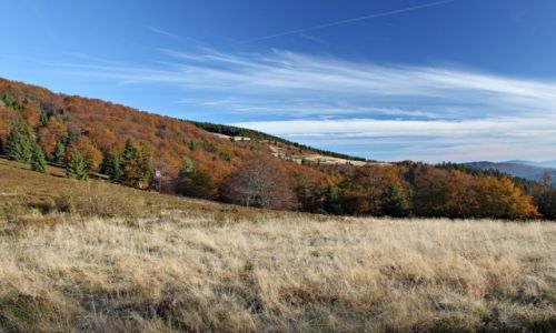Zdjcie POLSKA / Beskid ywiecki / Okolice Wielkiej Raczy / Jesie w Beskidach