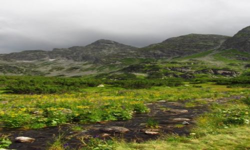 Zdjecie POLSKA / Tatry Wysokie / Dolina Gsienicowa, okolice Litworowego Stawu / Zmienna pogoda w Tatrach Wysokich