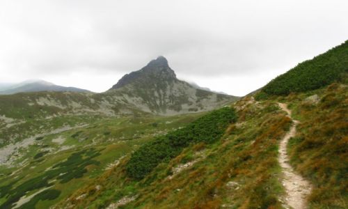 Zdjecie POLSKA / Tatry Zachodnie (Sowacja) / Dziurawa Przecz / Samotna gra - Rochacz Ostry