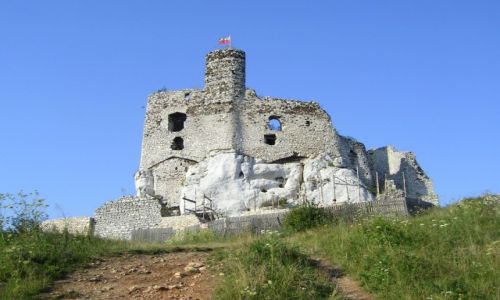 Zdjecie POLSKA / Jura Krakowsko - Czstochowska / Mirw / Zamek Mirw