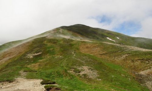 Zdjcie POLSKA / Tatry Zachodnie / Kondracka Przecz / Parujca Kopa