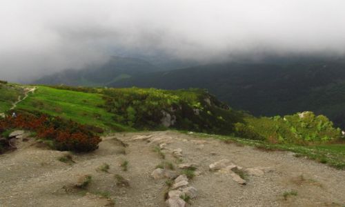 Zdjcie POLSKA / Tatry Zachodnie / Hala Upaz / Poniej chmur