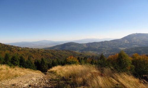 Zdjcie POLSKA / Beskid lski / okolice Klimczoka / Skrzyczne
