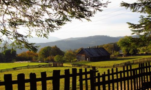 Zdjcie POLSKA / Beskid lski / okolice Szczyrku / Zielono mi