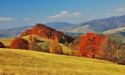 Zdjcie POLSKA / Pieniny / niedaleko Szczawnicy / Kolorowo