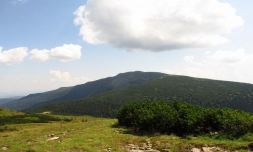 Zdjcie POLSKA / Beskid ywiecki / Jaowcowy Garb / Babia w cieniu