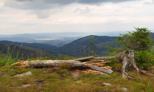 Zdjecie POLSKA / Beskid lski / Zielony Kopiec / Widok z Zielonego Kopca