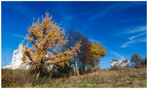 Zdjecie POLSKA / Jura Krakowsko-Czstochowska / Mirw / Mirw Castle II