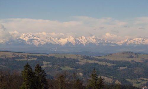 Zdjecie POLSKA / Beskid Sdecki / Wielki Rogacz / S gry wysze, ale czy pikniejsze?