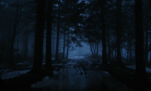 Zdjcie POLSKA / Beskid lski / okolice Klimczoka / Klimczokowy nokturn