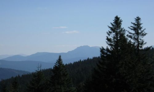 Zdjcie POLSKA / Beskid ywiecki / Wielka Rycerzowa - 1226 m n.p.m. / Vek Rozsutec - Maa Fatra z Rycerzowej