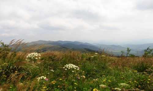 Zdjecie POLSKA / Bieszczady / Krzemie / Pooniny