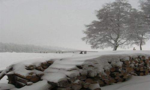 Zdjęcie POLSKA / Gorce / okolice Bacówki PTTK na Maciejowej / Tak wyglądała zima...