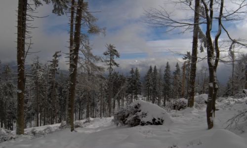 Zdjcie POLSKA / Hala Lipowska / Beskid ywiecki / Idzie zima