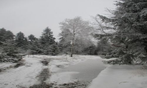 Zdjcie POLSKA / Beskid May / okolice Hrobaczej ki / Wreszcie nieg na szlaku !!!